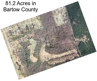 81.2 Acres in Bartow County