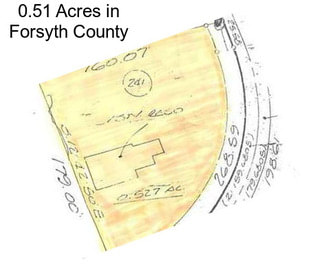 0.51 Acres in Forsyth County