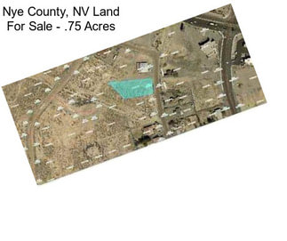 Nye County, NV Land For Sale - .75 Acres