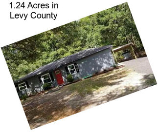 1.24 Acres in Levy County