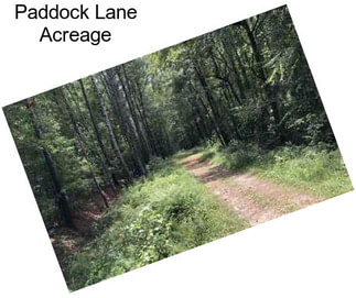 Paddock Lane Acreage