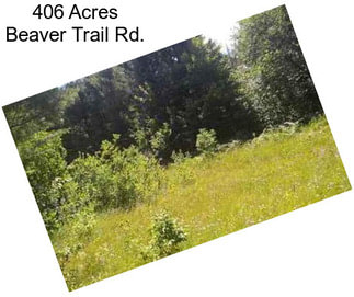 406 Acres Beaver Trail Rd.