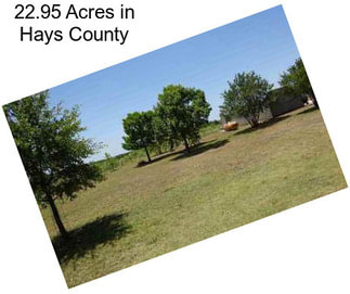 22.95 Acres in Hays County