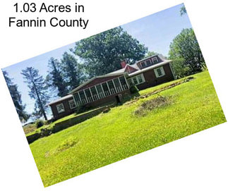 1.03 Acres in Fannin County