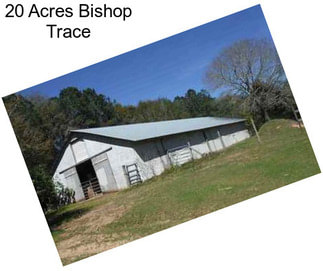 20 Acres Bishop Trace