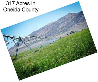 317 Acres in Oneida County