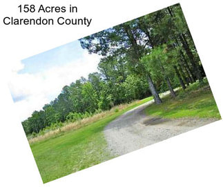 158 Acres in Clarendon County