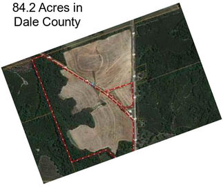 84.2 Acres in Dale County