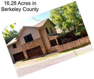 16.28 Acres in Berkeley County