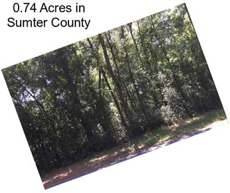 0.74 Acres in Sumter County