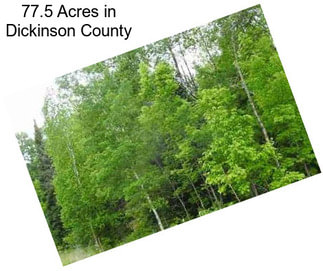 77.5 Acres in Dickinson County
