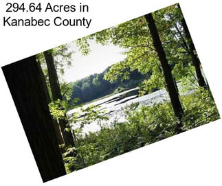 294.64 Acres in Kanabec County