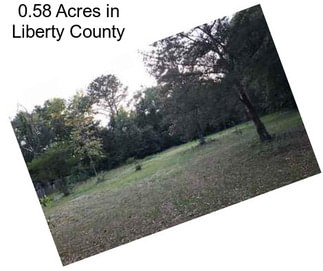 0.58 Acres in Liberty County