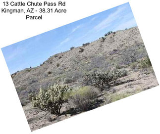 13 Cattle Chute Pass Rd Kingman, AZ - 38.31 Acre Parcel