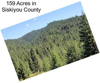 159 Acres in Siskiyou County