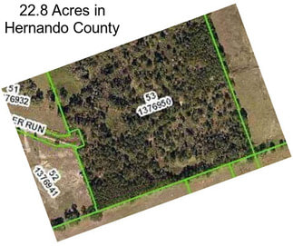 22.8 Acres in Hernando County