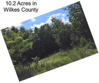 10.2 Acres in Wilkes County