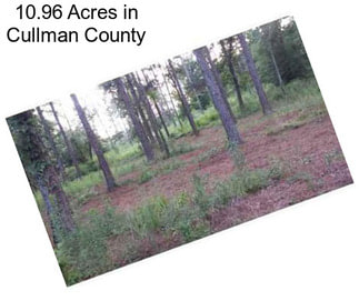 10.96 Acres in Cullman County