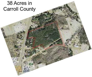 38 Acres in Carroll County