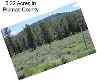 5.32 Acres in Plumas County