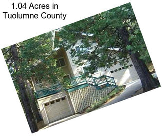 1.04 Acres in Tuolumne County