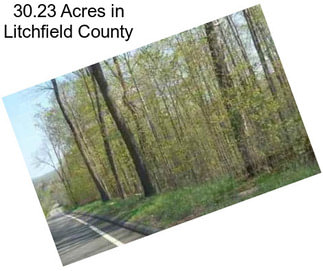 30.23 Acres in Litchfield County