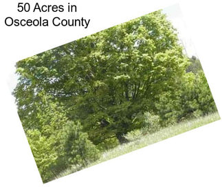 50 Acres in Osceola County