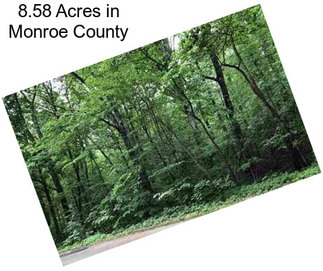 8.58 Acres in Monroe County