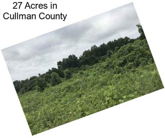 27 Acres in Cullman County