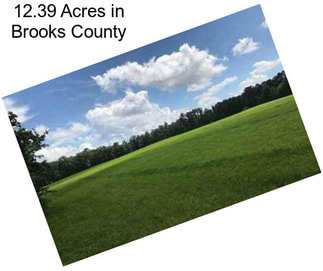 12.39 Acres in Brooks County
