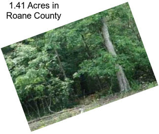 1.41 Acres in Roane County