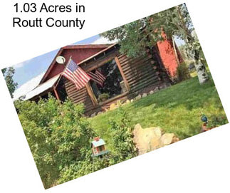 1.03 Acres in Routt County