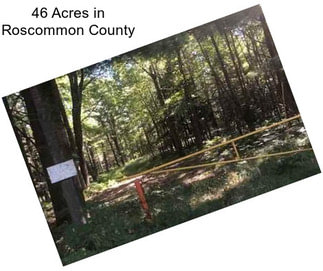 46 Acres in Roscommon County