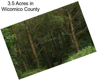 3.5 Acres in Wicomico County