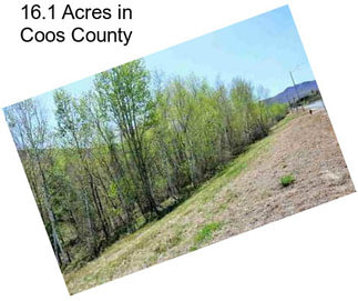 16.1 Acres in Coos County
