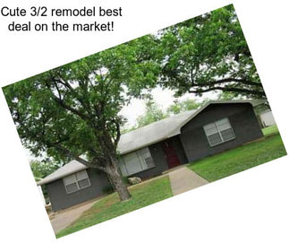 Cute 3/2 remodel best deal on the market!