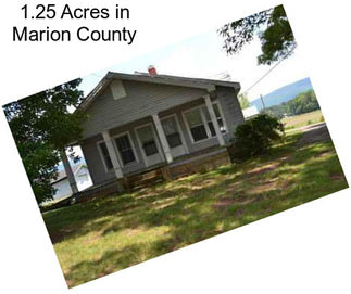 1.25 Acres in Marion County