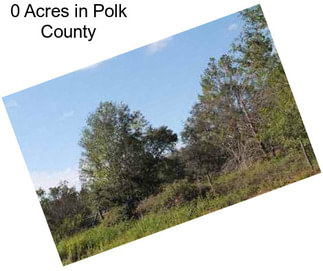 0 Acres in Polk County