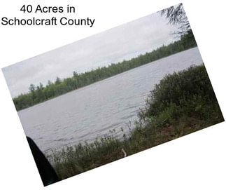 40 Acres in Schoolcraft County