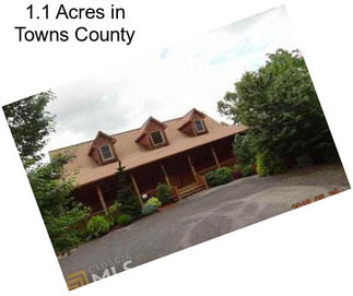 1.1 Acres in Towns County
