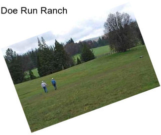 Doe Run Ranch