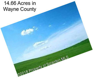 14.66 Acres in Wayne County