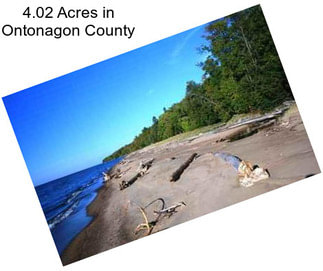 4.02 Acres in Ontonagon County