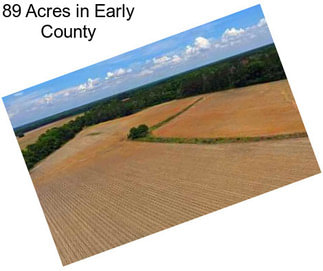 89 Acres in Early County