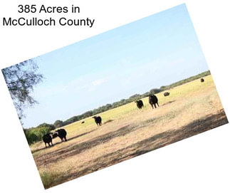 385 Acres in McCulloch County