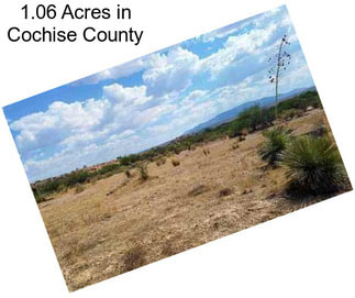 1.06 Acres in Cochise County