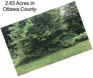 2.63 Acres in Ottawa County