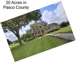 20 Acres in Pasco County