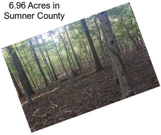 6.96 Acres in Sumner County