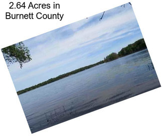 2.64 Acres in Burnett County